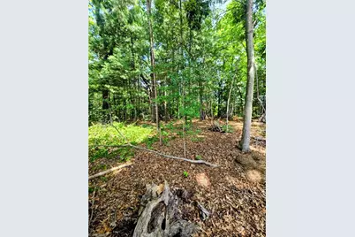 171 Idlewild Drive, Randleman, NC 27317 - Photo 24