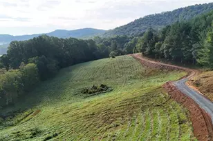00 Lot 102 Irwin Grocery Rd, Laurel Springs, NC 28644 - Photo 1