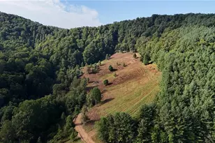 00 Lot 103 Irwin Grocery Rd, Laurel Springs, NC 28644 - Photo 1
