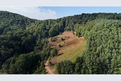 00 Lot 106 Irwin Grocery Road, Laurel Springs, NC 28644 - Photo 2