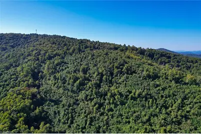 Tbd Irwin Grocery Road, Laurel Springs, NC 28644 - Photo 40