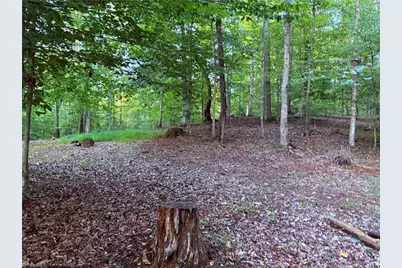 1210 Nicky Lane, Danbury, NC 27016 - Photo 32