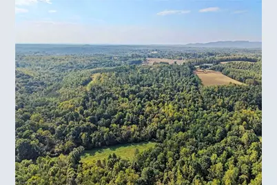 1210 Nicky Lane, Danbury, NC 27016 - Photo 38