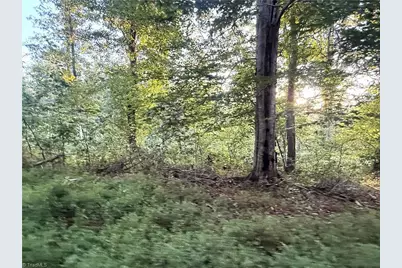 1210 Nicky Lane, Danbury, NC 27016 - Photo 30