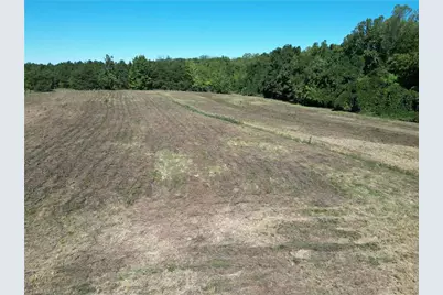 000 Sandy Cross Road, Reidsville, NC 27320 - Photo 4