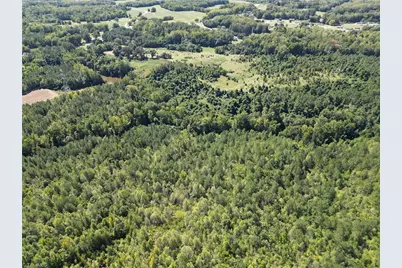 000 Sandy Cross Road, Reidsville, NC 27320 - Photo 12