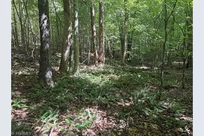 000 Sandy Cross Road, Reidsville, NC 27320 - Photo 40