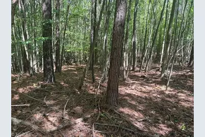 000 Sandy Cross Road, Reidsville, NC 27320 - Photo 30