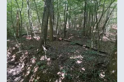 000 Sandy Cross Road, Reidsville, NC 27320 - Photo 34