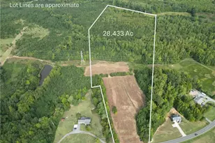 000 Sandy Cross Rd, Reidsville, NC 27320 - Photo 1