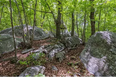 2717 Nc Highway 49 S, Asheboro, NC 27205 - Photo 42