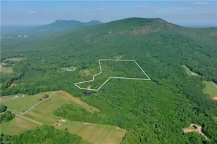 8 Old Mill Rd, Pinnacle, NC 27043 - Photo 1