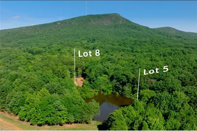 8 Old Mill Road, Pinnacle, NC 27043 - Photo 2