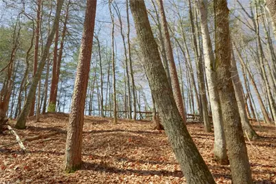 8 Old Mill Road, Pinnacle, NC 27043 - Photo 10