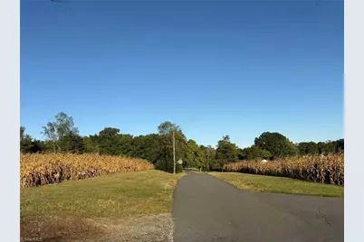 1060 Birdsong Road, King, NC 27021 - Photo 46