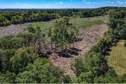 0 Wolf Island Road, Reidsville, NC 27320 - Photo 14