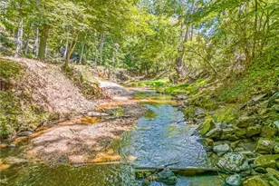 144 Cliff Side Trail, Pilot Mountain, NC 27041 - Photo 8
