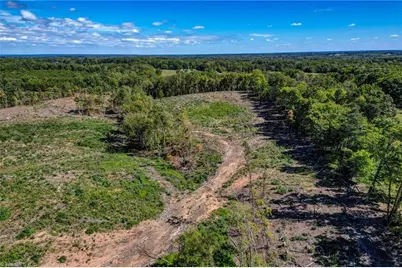 00 Wolf Island Road, Reidsville, NC 27320 - Photo 10