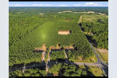 865 Windblow Road, Jackson Springs, NC 27281 - Photo 24