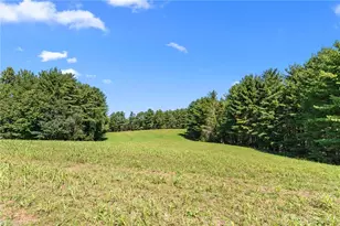 1295 Phipps Dairy Rd, Piney Creek, NC 28663 - Photo 34