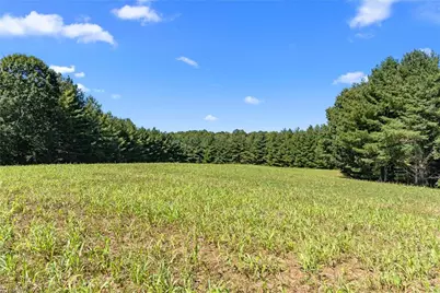1295 Phipps Dairy Road, Piney Creek, NC 28663 - Photo 36