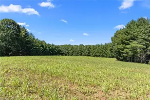 1295 Phipps Dairy Rd, Piney Creek, NC 28663 - Photo 36
