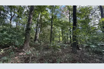 0 Lonita Street, Archdale, NC 27263 - Photo 2