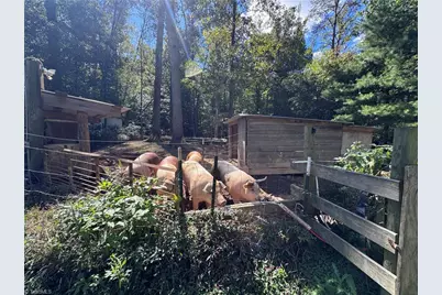 503 Sam Fulk Road, Pilot Mountain, NC 27041 - Photo 42