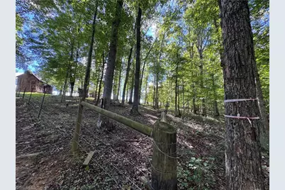 503 Sam Fulk Road, Pilot Mountain, NC 27041 - Photo 38