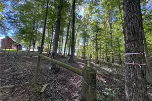 503 Sam Fulk Rd, Pilot Mountain, NC 27041 - Photo 38