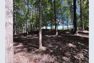503 Sam Fulk Road, Pilot Mountain, NC 27041 - Photo 44