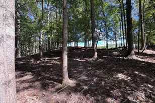 503 Sam Fulk Rd, Pilot Mountain, NC 27041 - Photo 44
