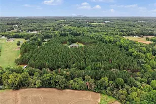1812 Fred Hinshaw Rd, Yadkinville, NC 27055 - Photo 42