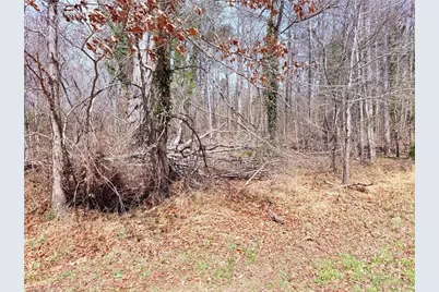 00 Ponderosa Road, Stoneville, NC 27048 - Photo 2