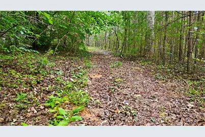 834 Germantown Road, Wilkesboro, NC 28697 - Photo 44