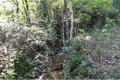 1541-1345 Nc Highway 89 W Tract# 1 - 97.86 ac, Danbury, NC 27016 - Photo 6