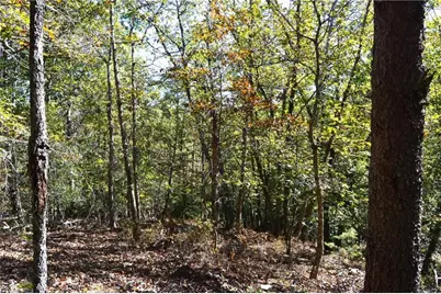 1541-1345 Nc Highway 89 W Tract# 1 - 97.86 ac, Danbury, NC 27016 - Photo 10
