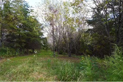 1541-1345 Nc Highway 89 W Tract# 1 - 97.86 ac, Danbury, NC 27016 - Photo 30