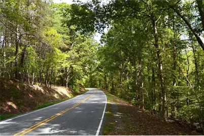1541-1345 Nc Highway 89 W Tract# 1 - 97.86 ac, Danbury, NC 27016 - Photo 38