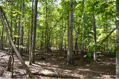1541-1345 Nc Highway 89 W Tract# 1 - 97.86 ac, Danbury, NC 27016 - Photo 32