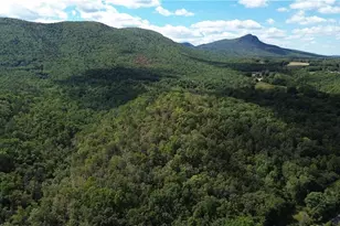 1541-1345 Nc Hwy 89 W, Danbury, NC 27016 - Photo 1