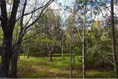 1541-1345 Nc Highway 89 W Tract# 1 - 97.86 ac, Danbury, NC 27016 - Photo 26