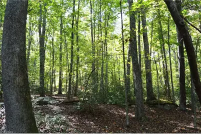 1541-1345 Nc Highway 89 W Tract# 1 - 97.86 ac, Danbury, NC 27016 - Photo 34