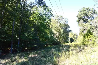 1541-1345 Nc Highway 89 W Tract# 1 - 97.86 ac, Danbury, NC 27016 - Photo 20