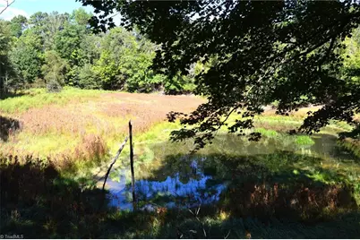1541-1345 Nc Highway 89 W Tract# 1 - 97.86 ac, Danbury, NC 27016 - Photo 24