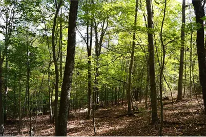 1541-1345 Nc Highway 89 W Tract# 1 - 97.86 ac, Danbury, NC 27016 - Photo 28