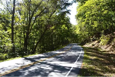 1541-1345 Nc Highway 89 W Tract# 1 - 97.86 ac, Danbury, NC 27016 - Photo 22