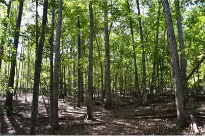 1541-1345 Nc Highway 89 W Tract# 1 - 97.86 ac, Danbury, NC 27016 - Photo 36