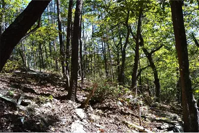 1541-1345 Nc Highway 89 W Tract# 1 - 97.86 ac, Danbury, NC 27016 - Photo 18