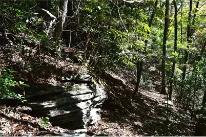 1541-1345 Nc Highway 89 W Tract# 1 - 97.86 ac, Danbury, NC 27016 - Photo 16